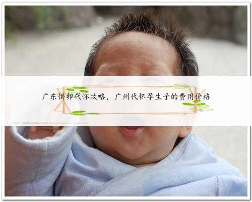广东供卵代怀攻略，广州代怀孕生子的费用价格