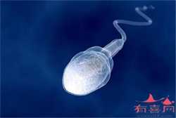 43岁供卵试管案例_高龄女性在广州做三代试管婴儿可以百分百怀上男孩吗？